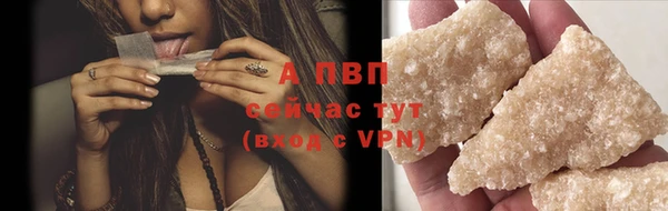 тгк Новокубанск