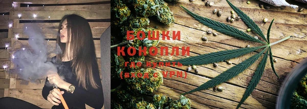 метадон Новозыбков