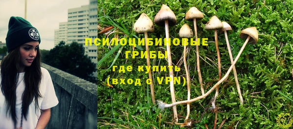 метадон Новозыбков