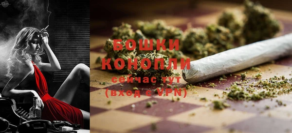 PSILOCYBIN Новодвинск