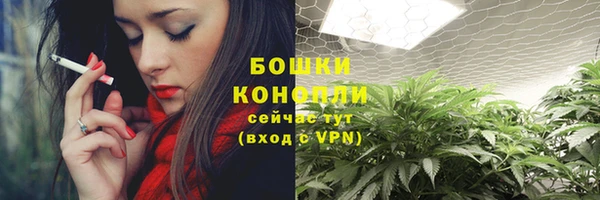 PSILOCYBIN Новодвинск