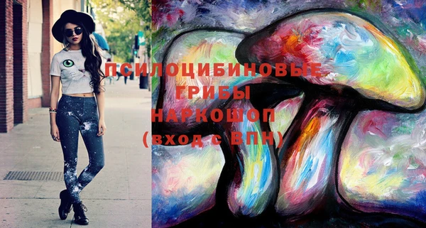 тгк Новокубанск